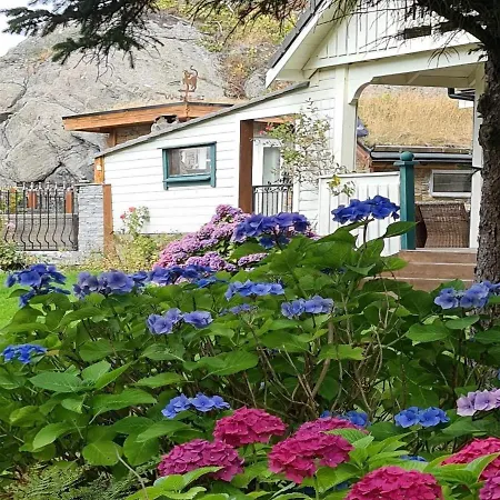 Feriehus 8 Person In Skudeneshavn-by Traum